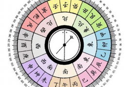 膺五行健康知识，身体与生活的和谐之道
