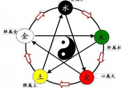 属猪与属牛，天生的互补与和谐共处