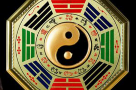 属羊与属狗的合不合，深入解析生肖匹配