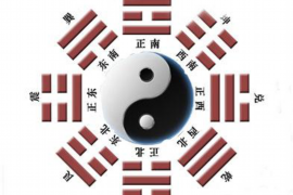 狗年宝宝出生月份命运之选