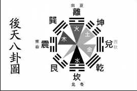 生肖每日运势查询——探索十二生肖的神秘魅力