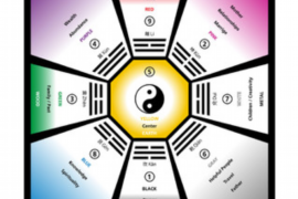 老鼠搬家，城市中的微小奇迹