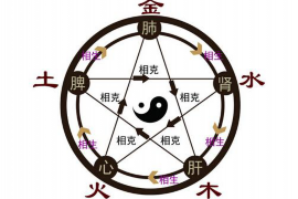 揭秘生肖运势，探索你的命运之门