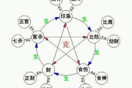 八字入门必背知识，如何正确下载与应用