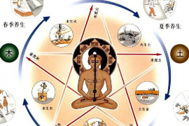 禅城搬家公司，专业服务，无忧搬家新体验