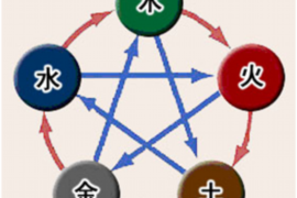 属虎的幸运色，解读与探索