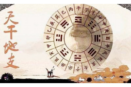 今日生肖运势，探索与解读