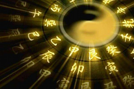 属兔与属龙，天造地设的一对？