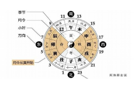 7月27日生日花及其花语之谜