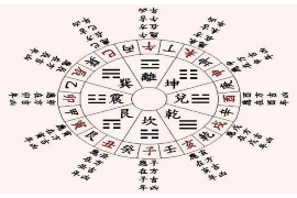 属猪与属猪的合不合，生肖相性的深度解析